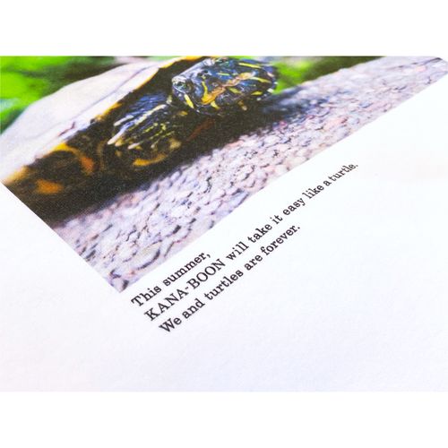 MAGU FILM T ～江ノ島にてカメと出会う～