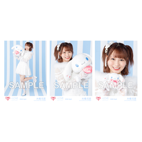 生写真セット(シナモロールコラボ2022)