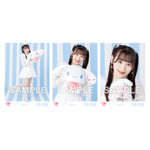 生写真セット(シナモロールコラボ2022)