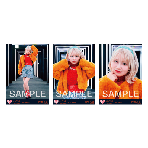 生写真セット（13thcw「Junkies」）