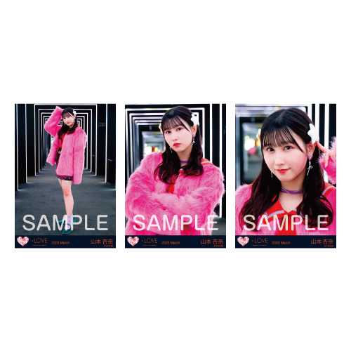 商品詳細ページ | =LOVE OFFICIAL SHOP | 生写真セット（13thcw