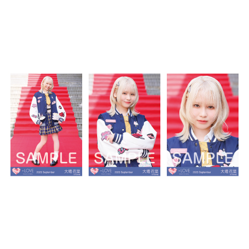 生写真セット(14thcw「ヒロインズ」)