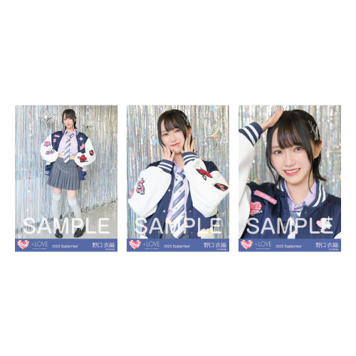 生写真セット(14thcw「ヒロインズ」)