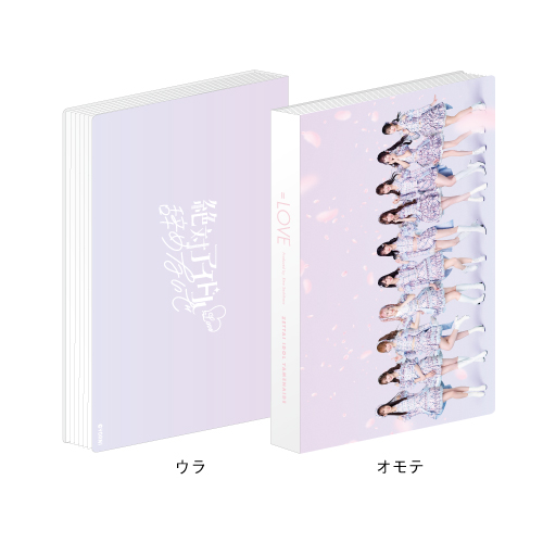 「絶対アイドル辞めないで」フォトアルバム