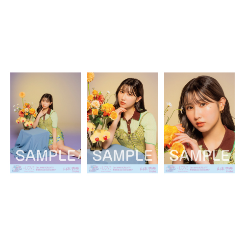 7周年コンサート生写真セット（「＝LOVE 7th ANNIVERSARY PHOTO BOOK」）