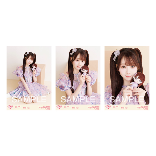 生写真セット（ぬいぐるみマスコット）