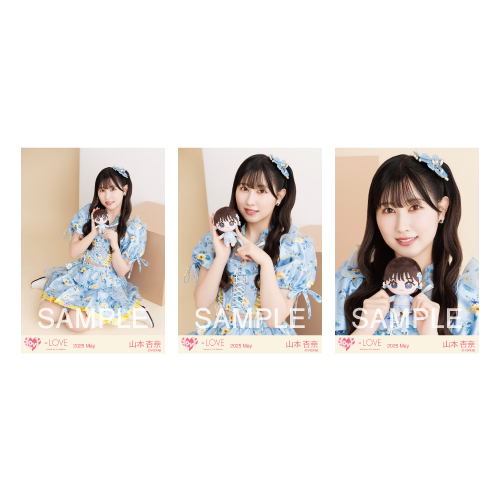 生写真セット（ぬいぐるみマスコット）