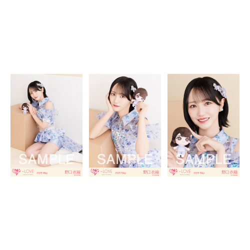 生写真セット（ぬいぐるみマスコット）