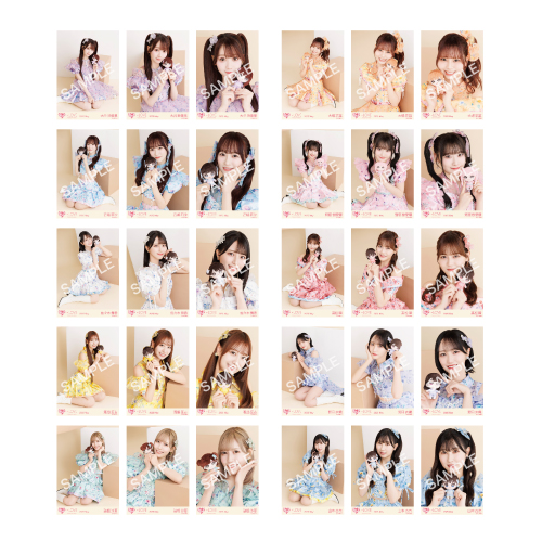 生写真セット（ぬいぐるみマスコット）