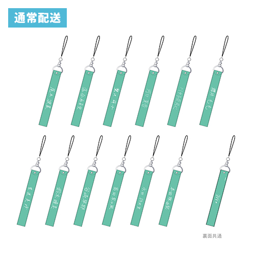 個別ペンライトストラップ　≠ME