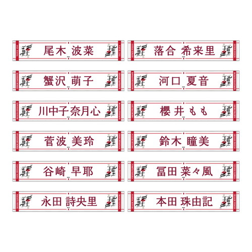 全国ツアー2023 個別マフラータオル