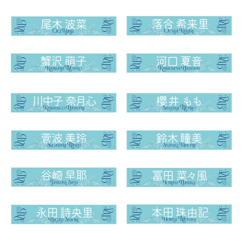 全国ツアー2024 個別マフラータオル