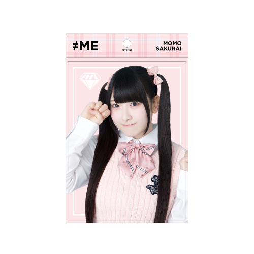 個別生写真ホルダー（全国ツアー2024メンバーカラー衣装）