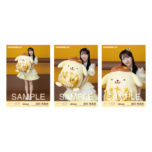 生写真セット（ポムポムプリンコラボ）