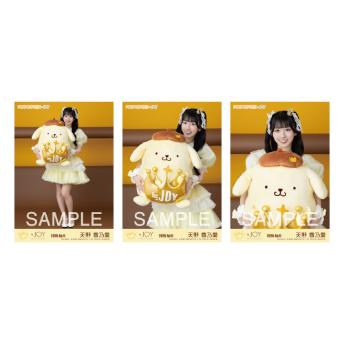 生写真セット（ポムポムプリンコラボ）