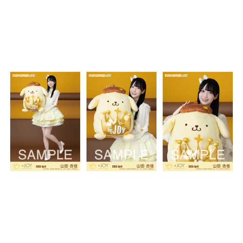 生写真セット（ポムポムプリンコラボ）