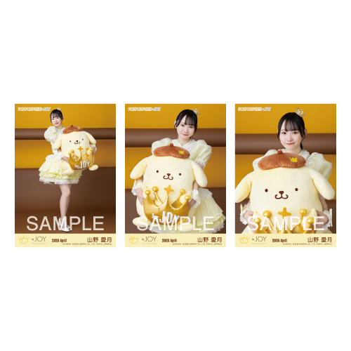 生写真セット（ポムポムプリンコラボ）