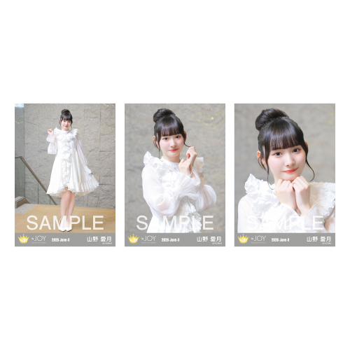 生写真セット(4thcw「愛が痛かった」)