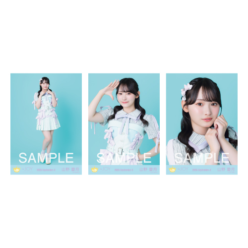生写真セット（「サマーツインテール」歌唱衣装）