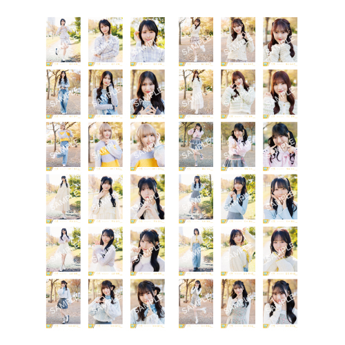 生写真セット（11thcw「きゅんかわ人生」②）