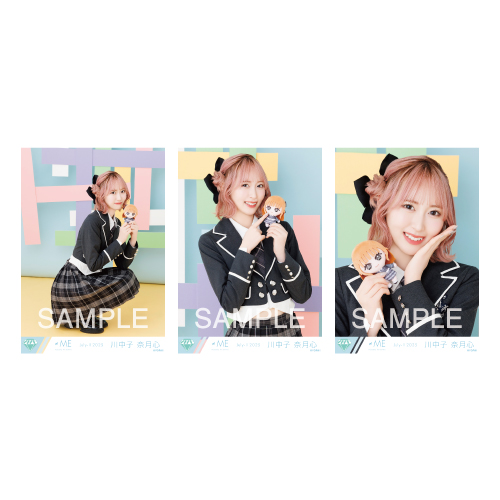 生写真セット（ぬいぐるみマスコット）