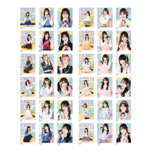 生写真セット（ぬいぐるみマスコット）