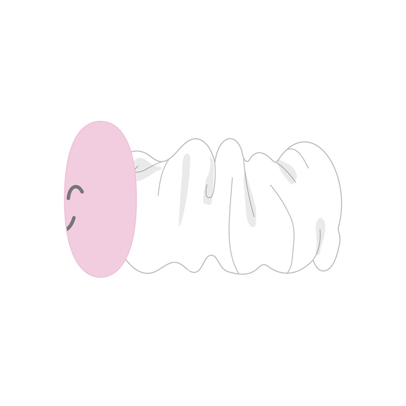 谷崎 早耶プロデュース「さやうさのおめかしセット」