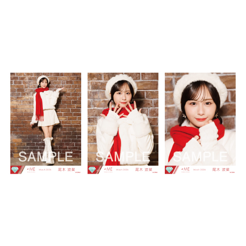 生写真セット（11thcw「はんぶんこクリスマス」）