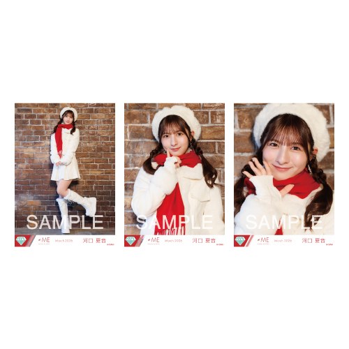 生写真セット（11thcw「はんぶんこクリスマス」）