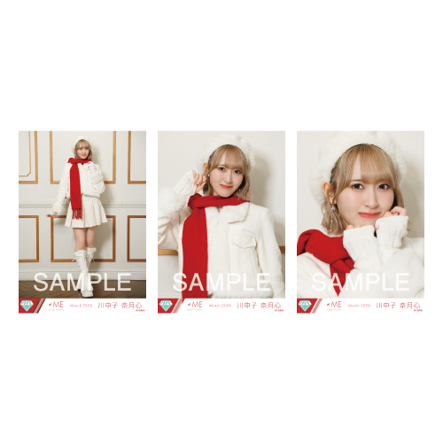 生写真セット（11thcw「はんぶんこクリスマス」）