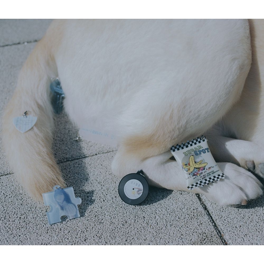 【会場限定ガチャ】散漫ガチャ