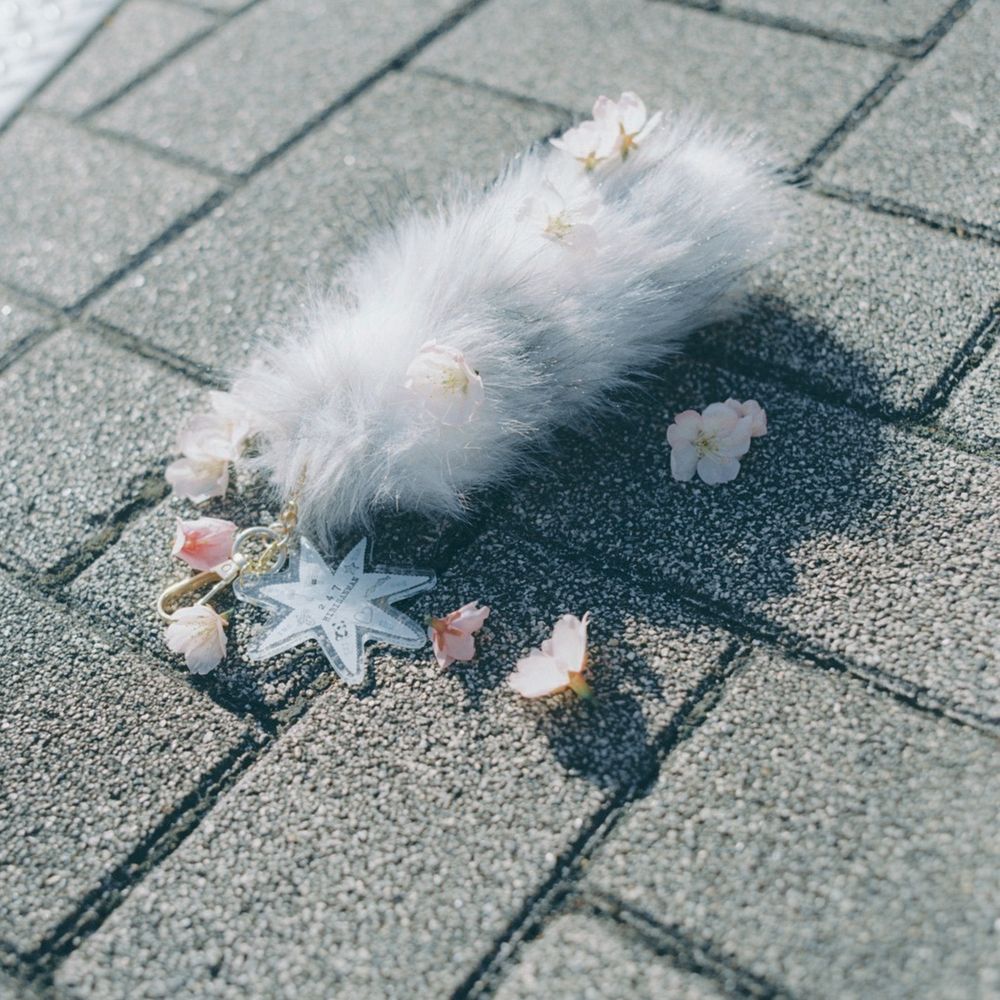 光るミニshippo - 日々散漫