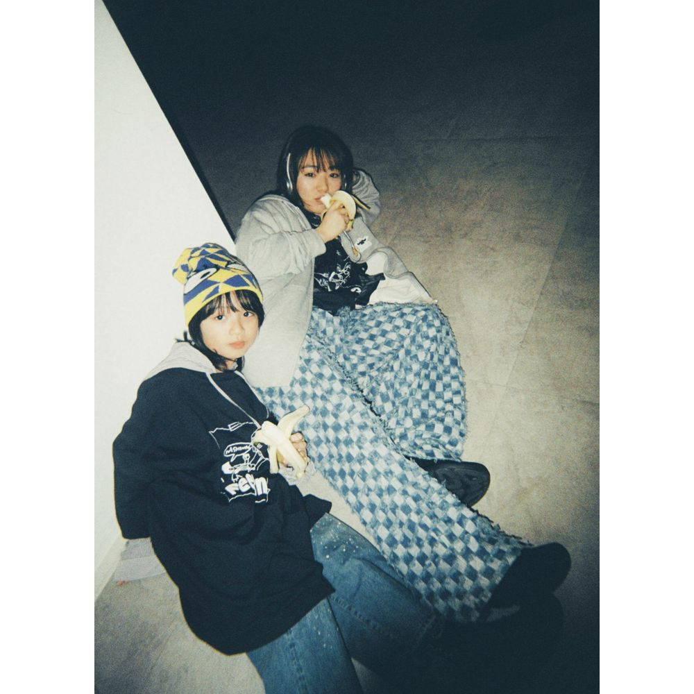 nageyari flake sticker（6種ランダムセット。全30デザイン）