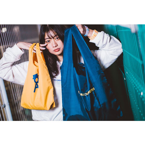 ロゴスーパーエコバッグ〈BIG〉