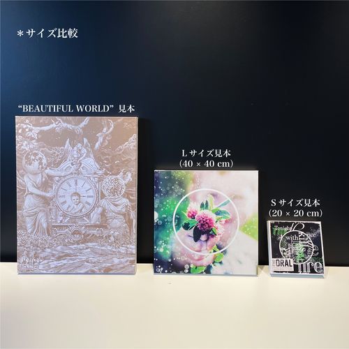 <LLサイズ>ジャケットキャンバス''BEAUTIFUL WORLD''