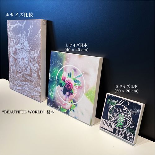 <LLサイズ>ジャケットキャンバス''BEAUTIFUL WORLD''