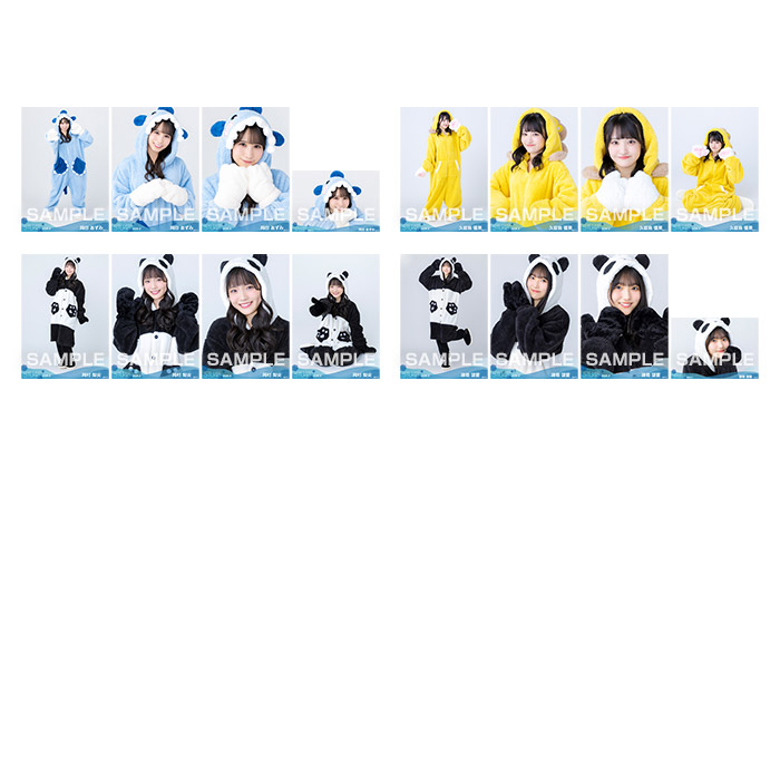 【通常配送】STU48 2026年3月度ランダム生写真5枚セット