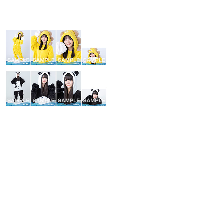 【通常配送】STU48 2026年3月度ランダム生写真5枚セット