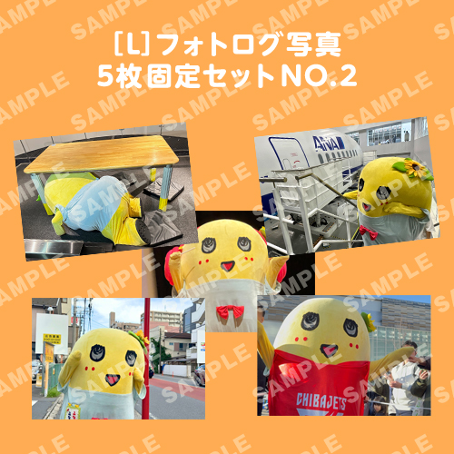 フォトログ写真　L版5枚固定セットNO.2