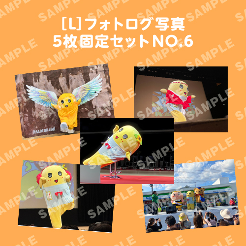 フォトログ写真　L版5枚固定セットNO.6