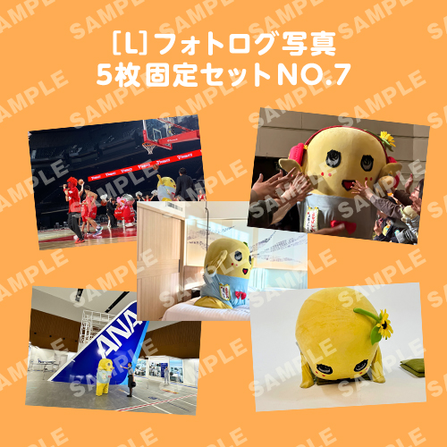 フォトログ写真　L版5枚固定セットNO.7