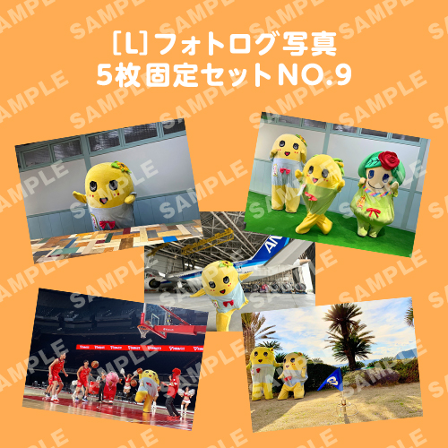 フォトログ写真　L版5枚固定セットNO.9