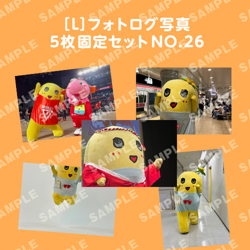 フォトログ写真　L版5枚固定セットNO.26