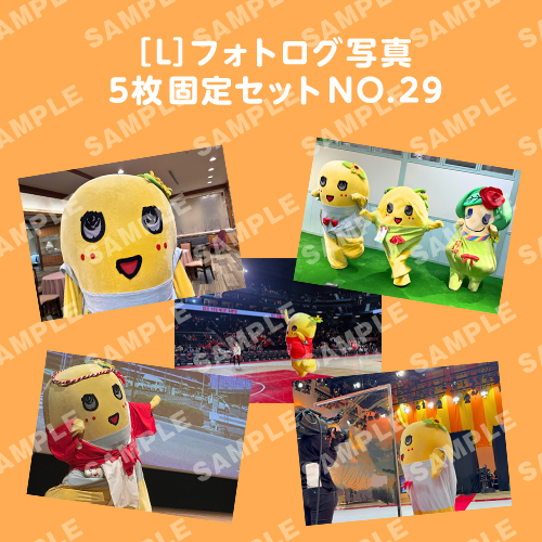 フォトログ写真　L版5枚固定セットNO.29