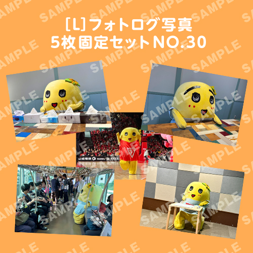 フォトログ写真　L版5枚固定セットNO.30