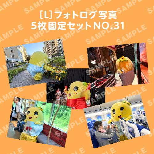 フォトログ写真　L版5枚固定セットNO.31