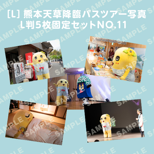 「イルカに乗ったふなっしーと行く！熊本天草降臨バスツアー！」L判5枚セットNO.11