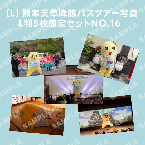 「イルカに乗ったふなっしーと行く！熊本天草降臨バスツアー！」L判5枚セットNO.16