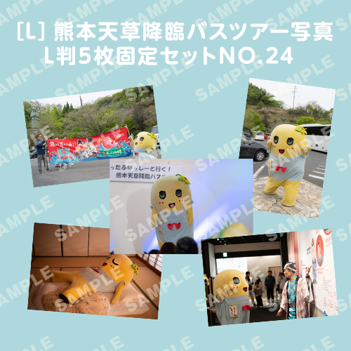 「イルカに乗ったふなっしーと行く！熊本天草降臨バスツアー！」L判5枚セットNO.24