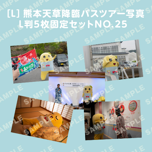 「イルカに乗ったふなっしーと行く！熊本天草降臨バスツアー！」L判5枚セットNO.25